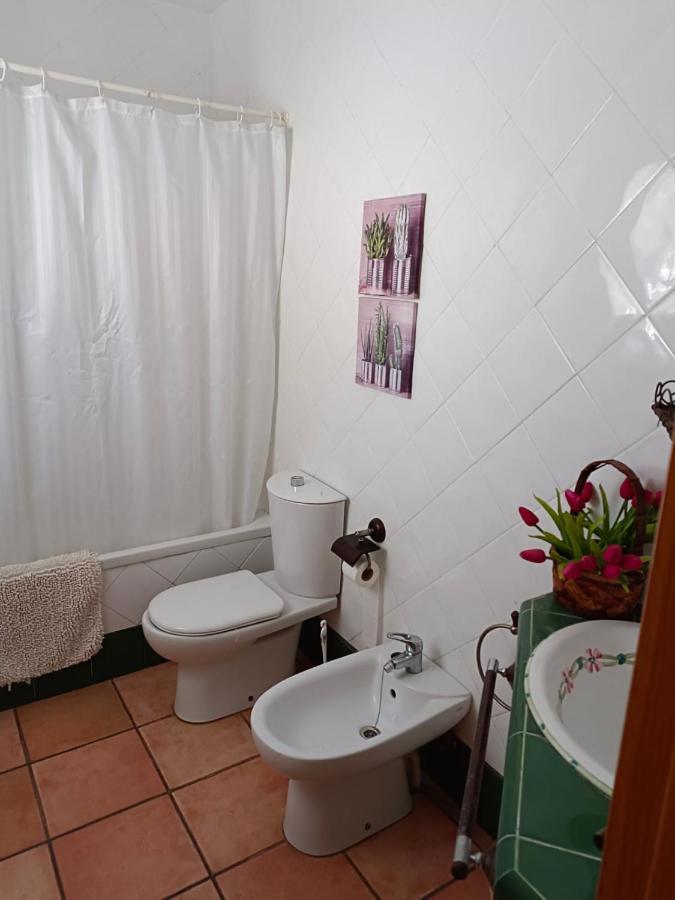Chalet Trinquet Vinarós エクステリア 写真